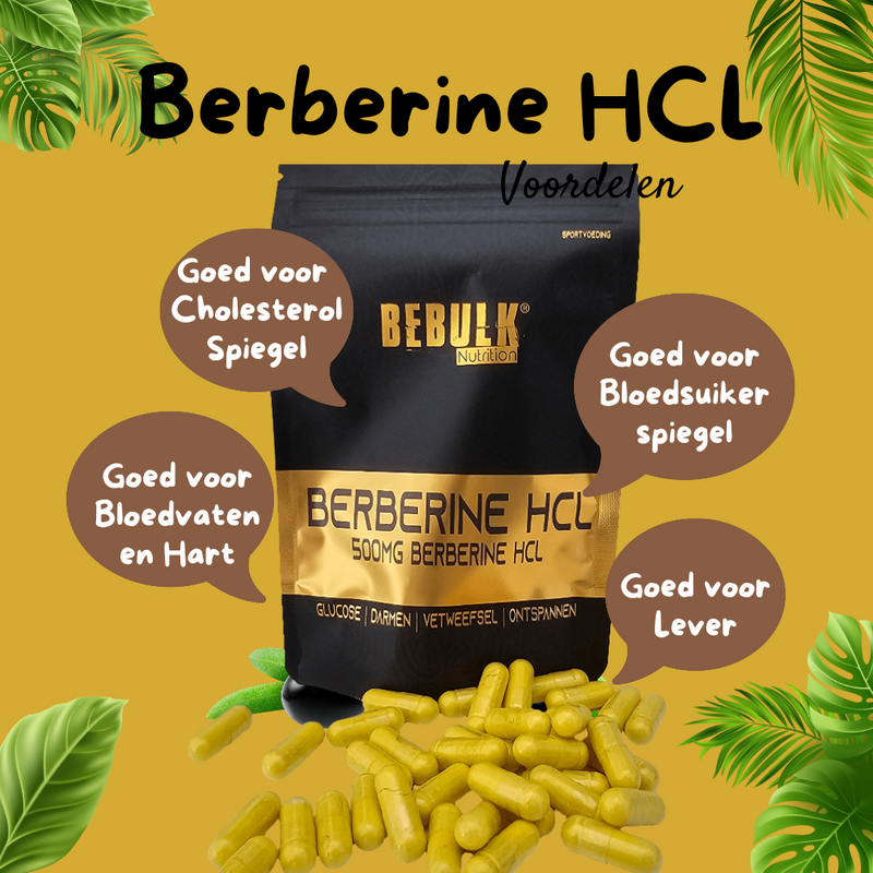 Berbérine HCL 97% 500mg - Végétalien - 90 Capsules - OstroVit